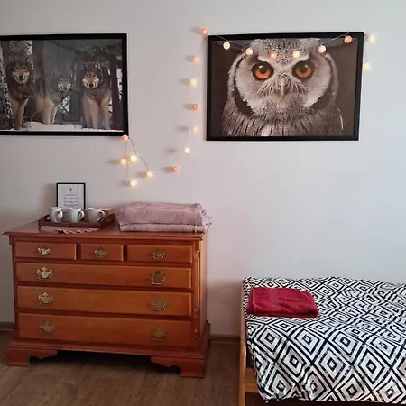 Dom Goscinny Sowia Stopka Milomlyn Room photo